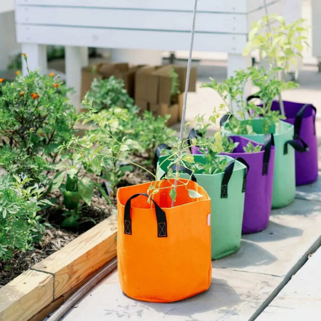 Row of colourful fabric planter pots