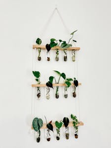 A hanging plant holder with plants in it