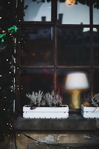 Lavender in Boxes on Windowsill