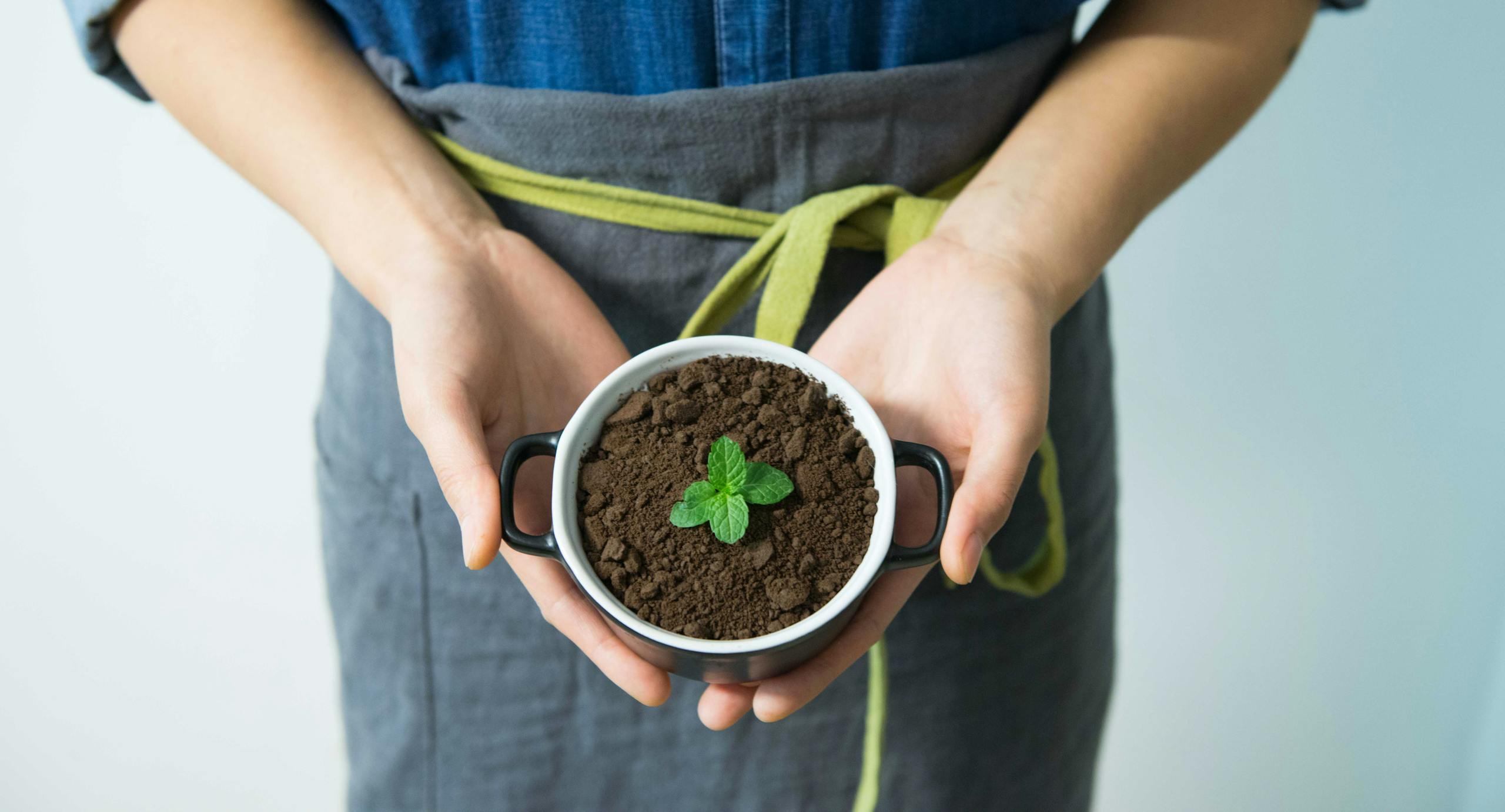 Person Holding Cup With The Best Soil for Indoor Plants