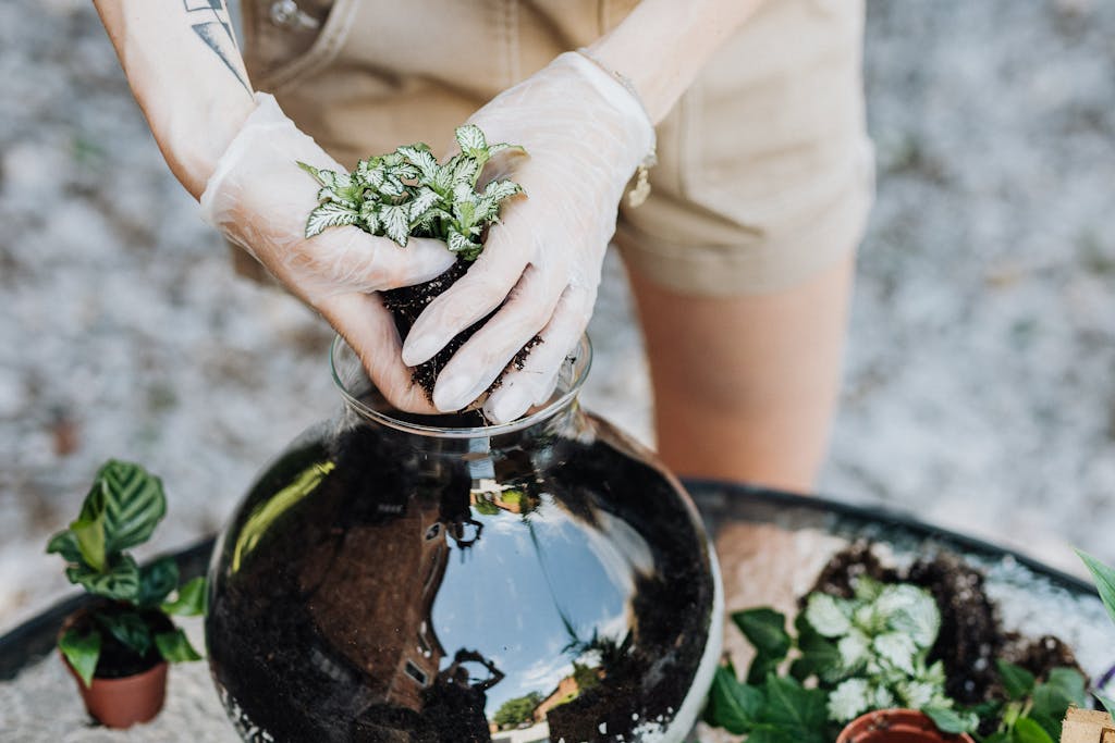 Person Putting Plants Inside Glass Vase